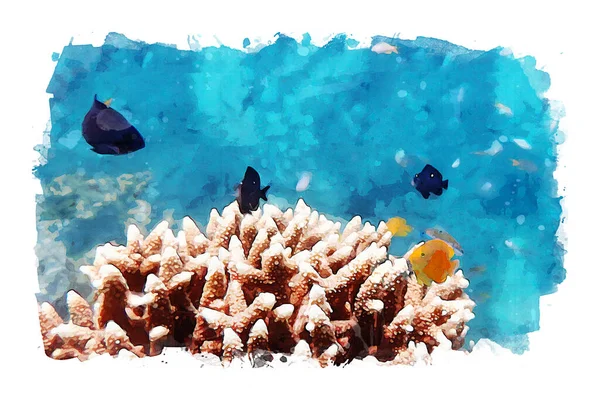 Vida Marinha Sob Água Mar Peixes Pequenos Coloridos Com Corais — Fotografia de Stock