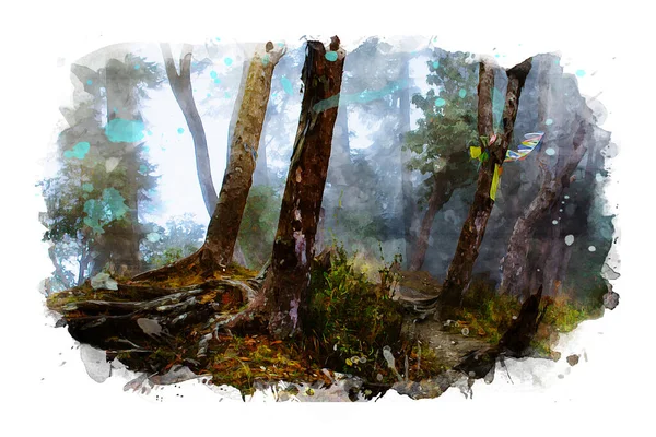 Лісове Зображення Змішані Медіа Акварелі Фото — стокове фото