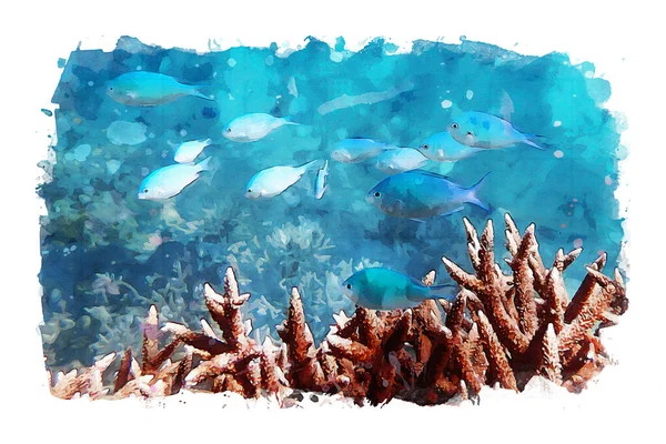 Морське Життя Під Водою Змішані Медіа Фотографії Акварелі — стокове фото