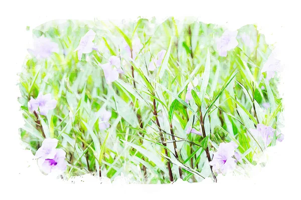 Spring Flower Image Mixed Media Watercolor Photo — 스톡 사진