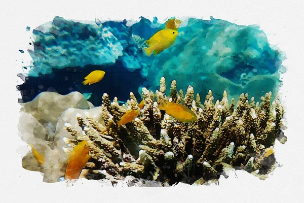 Deniz Suyu Altında Deniz Yaşamı Fotoğraflarla Suluboya Karışımı Şeyler — Stok fotoğraf