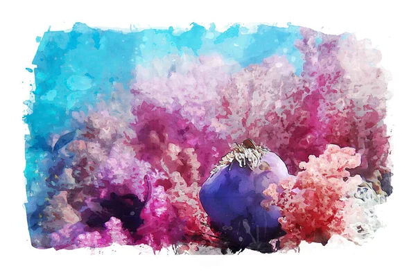 Mořský Život Pod Mořskou Vodou Smíšená Média Fotografie Akvarelu — Stock fotografie