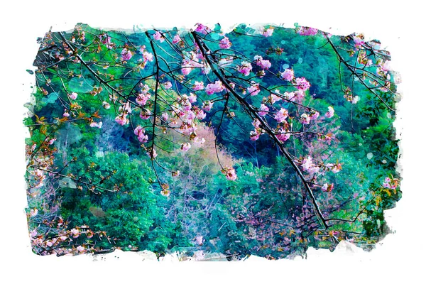 Jarní Květinový Obraz Smíšená Média Akvarelu Fotografie — Stock fotografie