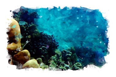 Deniz altında deniz yaşamı, mercanlı renkli küçük balıklar, fotoğraflardan ve suluboya resimlerden oluşan karışık bir ortam.