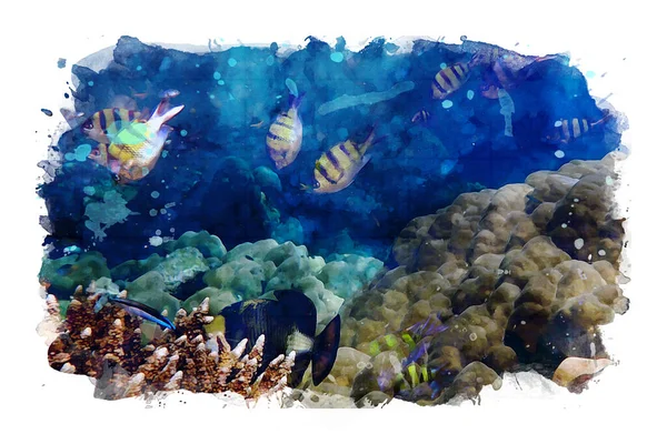 Deniz Altında Deniz Yaşamı Mercanlı Renkli Küçük Balıklar Fotoğraflardan Suluboya — Stok fotoğraf