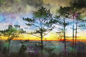 Картина, постер, плакат, фотообои "abstract painting of pine trees in forest, nature landscape image, digital watercolor illustration", артикул 388143682