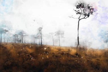 Ormandaki çam ağaçlarının soyut resmi, doğa manzarası resmi, dijital suluboya çizimi, arka plan sanatı