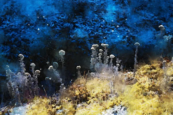 Abstraktní Malba Květin Jarním Období Přírodní Krajina Obraz Digitální Akvarel — Stock fotografie