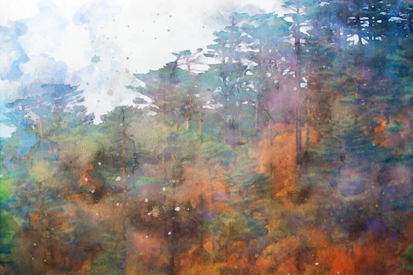 Abstract painting of pine trees in forest, nature landscape image, digital watercolor illustration, art for background