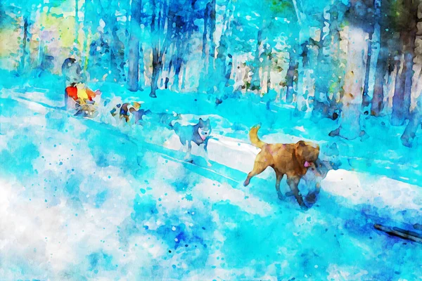 Pintura Abstrata Cães Trenó Temporada Inverno Imagem Paisagem Natureza Ilustração — Fotografia de Stock