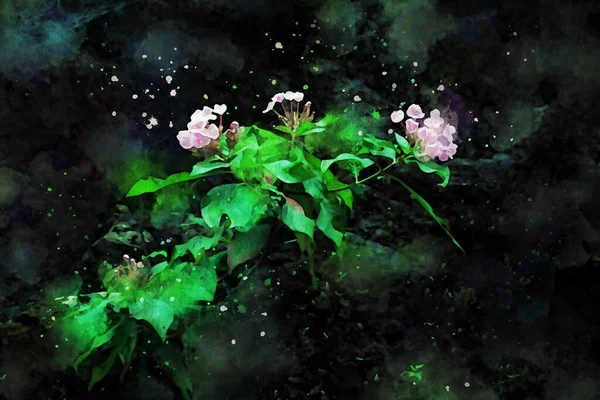 Abstrakti Maalaus Kukkia Kevätkaudella Luonto Maisema Kuva Digitaalinen Vesiväri Kuvitus — kuvapankkivalokuva