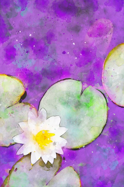 Abstract Painting Waterlily Natural Flower Image Digital Watercolor Illustration Art — Stock Photo, Image