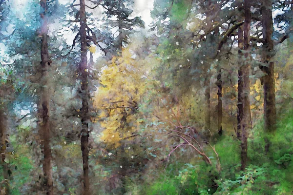 Abstract painting of pine trees in forest, nature landscape image, digital watercolor illustratio