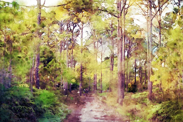 Абстрактне Розфарбування Сосен Лісі Зображення Ландшафту Природи Цифрова Акварельна Ілюстрація — стокове фото