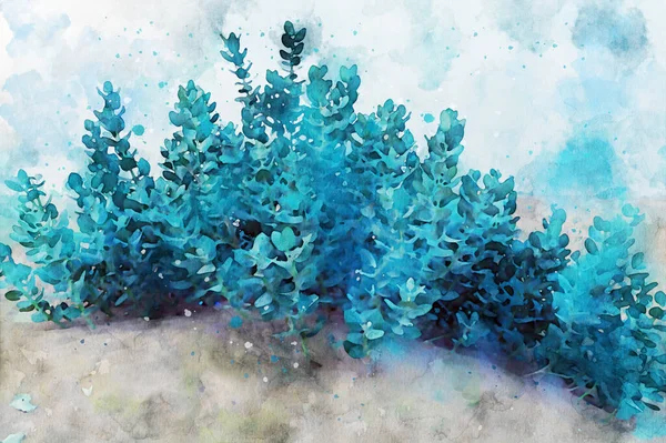 Abstraktní Malba Pouštní Rostliny Přírodní Obraz Digitální Akvarel Ilustrace Umění — Stock fotografie