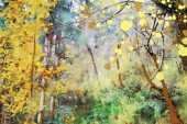 Картина, постер, плакат, фотообои "trees in autumn with yellow leaves, fall season image, digital watercolor painting", артикул 403698044