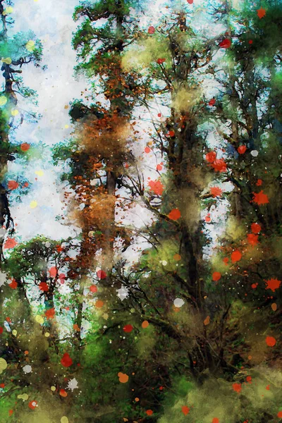 Bäume Herbst Mit Bunten Blättern Herbstbild Digitale Aquarellmalerei — Stockfoto