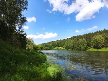 Yazın mavi büyük orman gölüne ve yeşil ağaçlara bak.