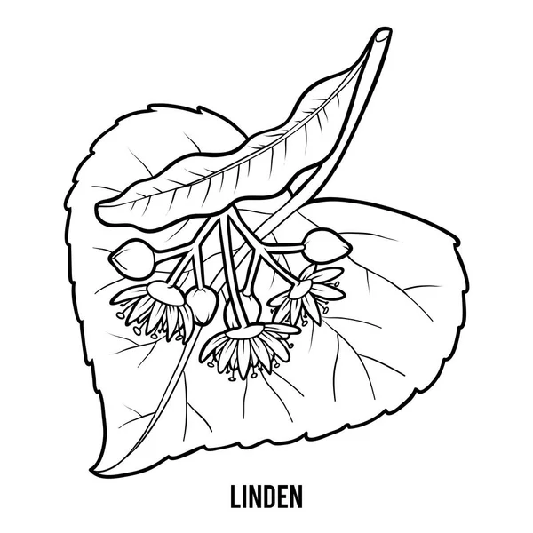 Målarbok För Barn Linden — Stock vektor