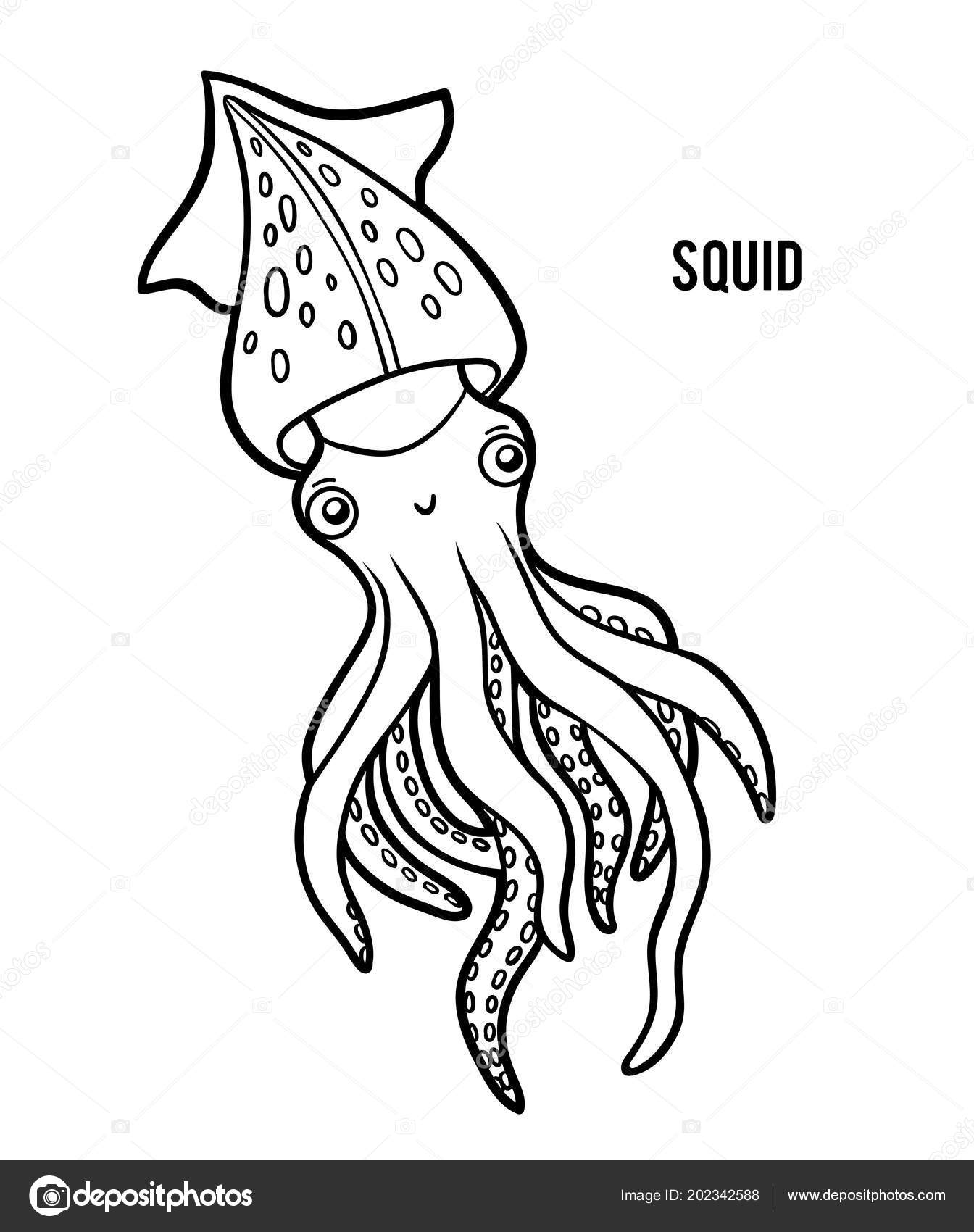 Libro Para Colorear Para Niños Calamar vector, gráfico vectorial