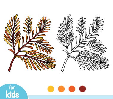 Sequoia şube, çocuklar için boyama kitabı