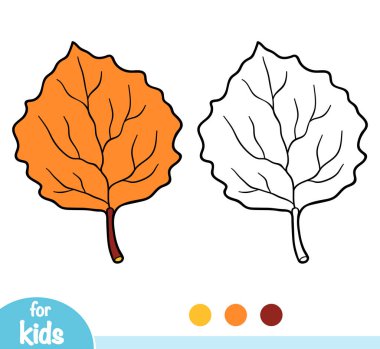 Coloring book for children, Aspen leaf clipart
