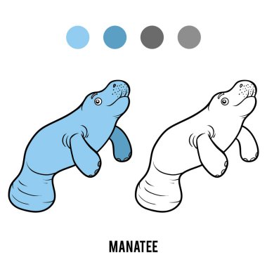 Coloring book for children, Manatee clipart