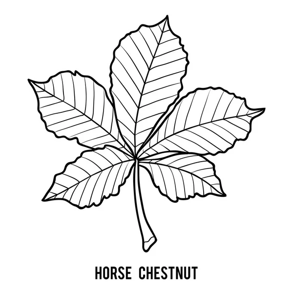 Coloring Book Children Horse Chestnut — Stock Vector