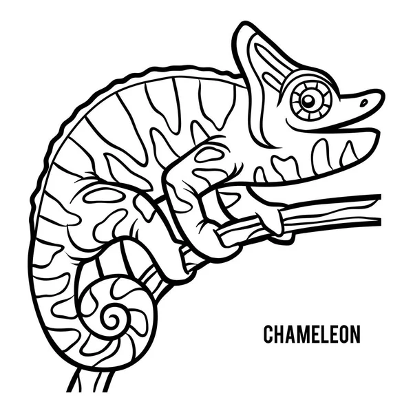 Libro Colorare Bambini Chameleon — Vettoriale Stock
