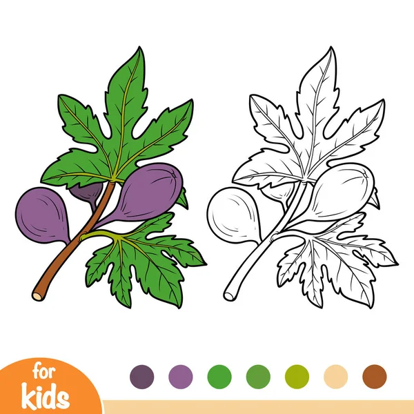 Coloring book for children, Fig tree branch — Stock Illustration Coloring Book Children Fig Tree Branch Royalty Free Stock Illustrations