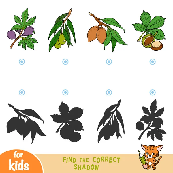 Find the correct shadow, education game for children, set of leafs — Stock Illustration Find Correct Shadow Education Game Children Set Leafs Royalty Free Stock Vectors