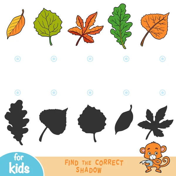 Find the correct shadow, education game for children, set of leafs — Stock Illustration Find Correct Shadow Education Game Children Set Leafs Stock Vector