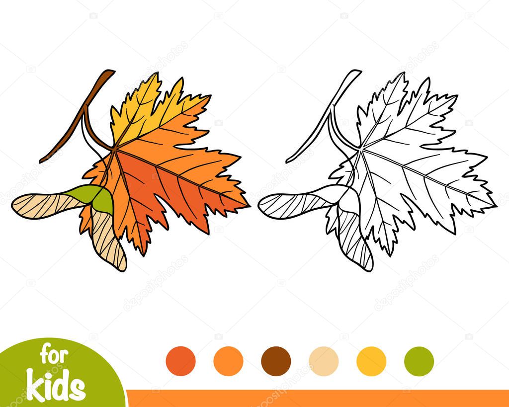 Coloring book for children, Maple leaf