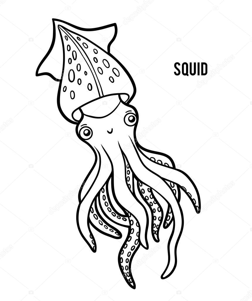 Coloring book for children, Squid