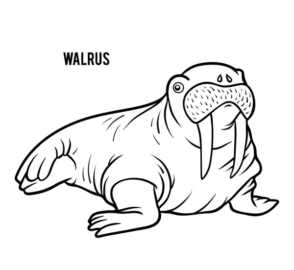 Libro Colorare Bambini Animale Dei Cartoni Animati Walrus — Vettoriale Stock
