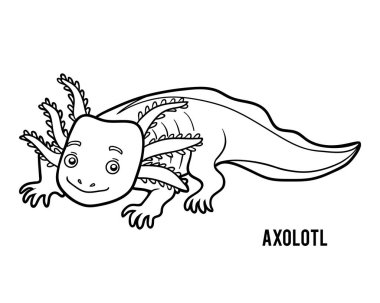 Axolotl, çocuklar için boyama kitabı