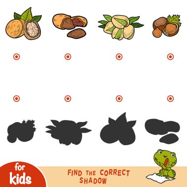 Doğru gölge, eğitim çocuklar için oyun bulmak. Fındık Cartroon kümesi