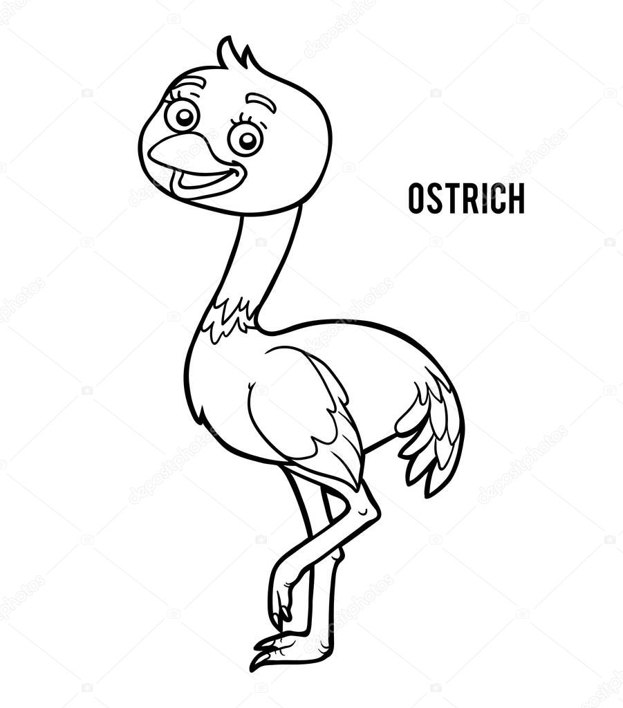 Coloring book for children, Ostrich