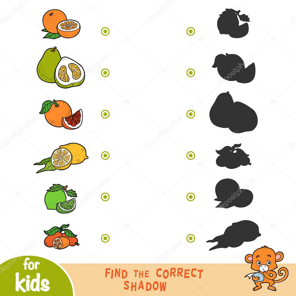 Find the correct shadow, education game for children. Cartroon citrus set -  Orange, Grapefruit, Pomelo, Kumquat, Lime, Lemon, Mandarin