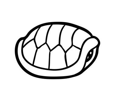 Kaplumbağa, çocuklar için boyama kitabı