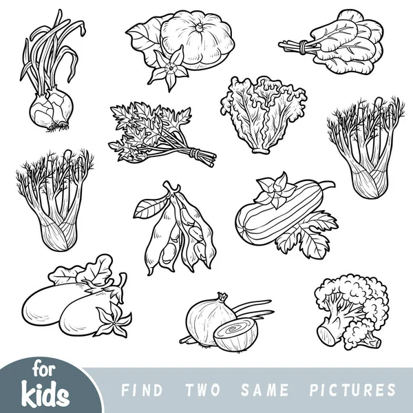 Trouvez Deux Mêmes Images Jeu Éducatif Pour Les Enfants Ensemble — Image vectorielle