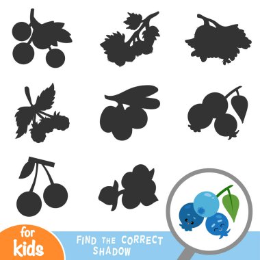 Doğru gölge, eğitim oyun çocuklar için yaban mersini bulmak