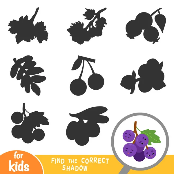 Encuentra Sombra Correcta Juego Educación Para Niños Uvas — Vector de stock