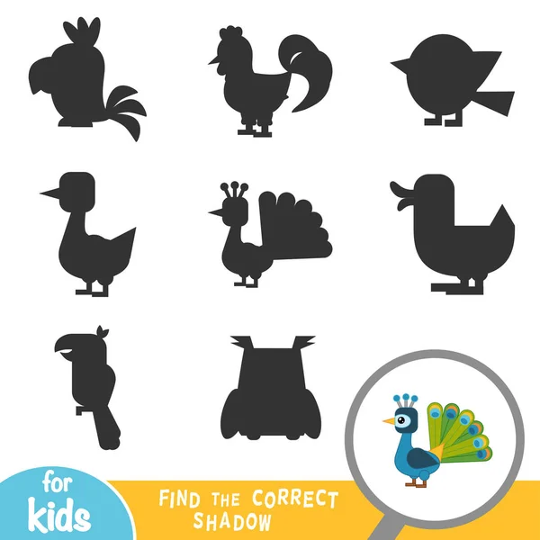 Encontrar Sombra Correcta Juego Educación Para Los Niños Pavo Real — Vector de stock