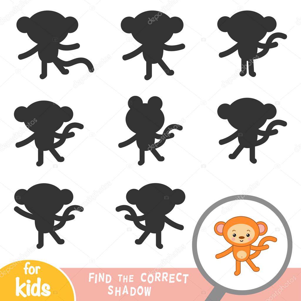 Find the correct shadow, education game for children, Monkey