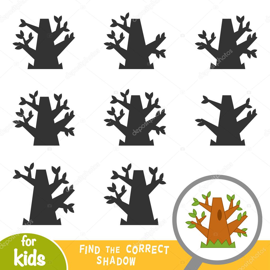 Find the correct shadow, education game for children, Oak tree