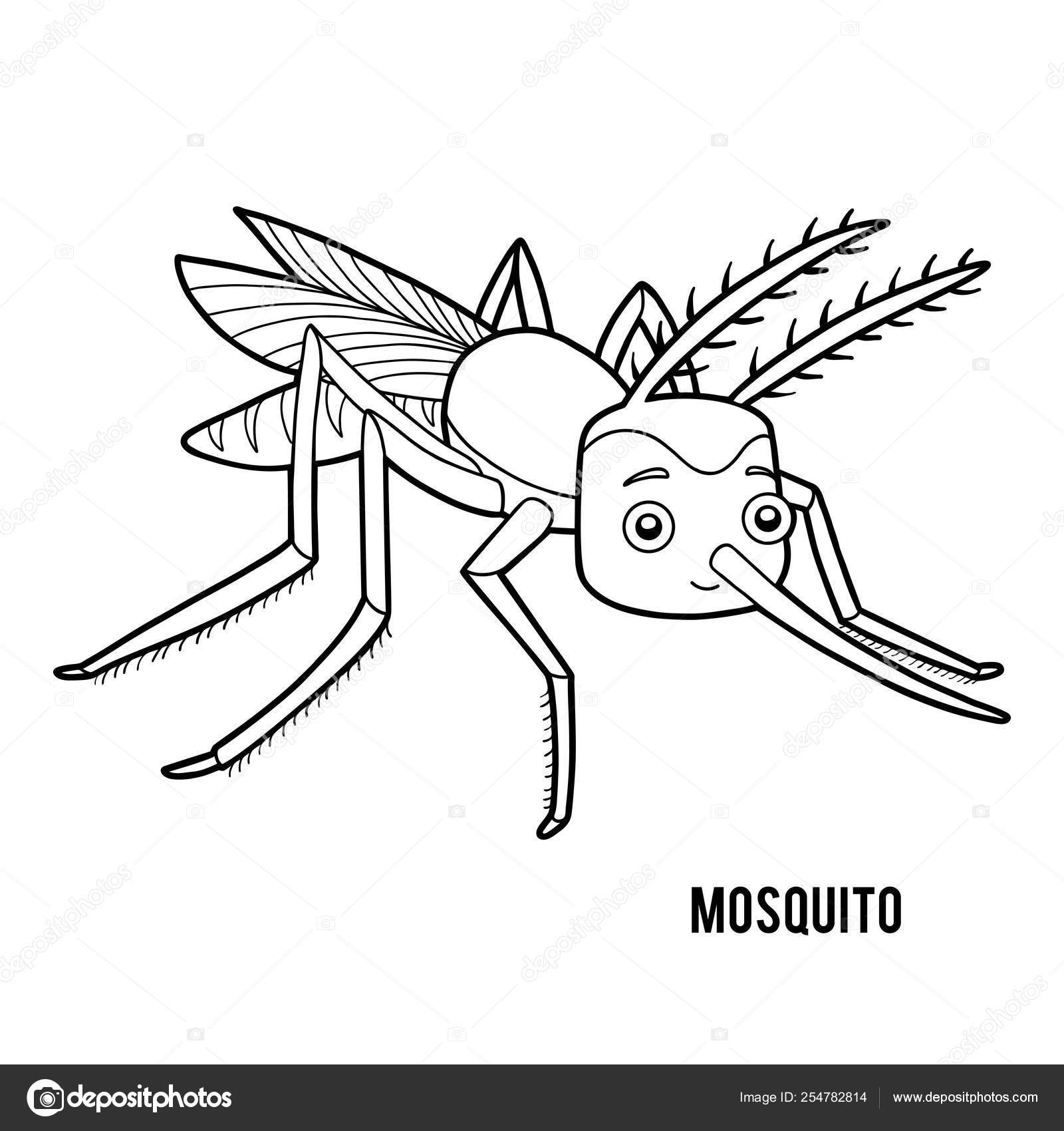 Mosquito Drawing For Kids Kindergarten - Bird Pencil Drawing