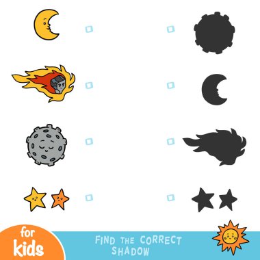 Doğru gölge, eğitim oyunu, natur nesnelerin kümesi bulun