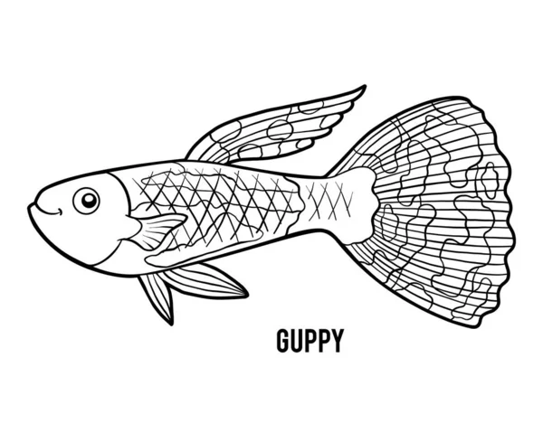 Livro para colorir, Guppy — Vetor de Stock