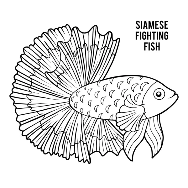 Livre à colorier, poisson de combat siamois — Image vectorielle